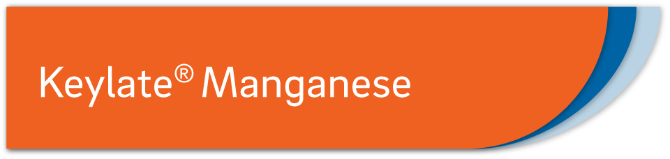 keylate-manganese