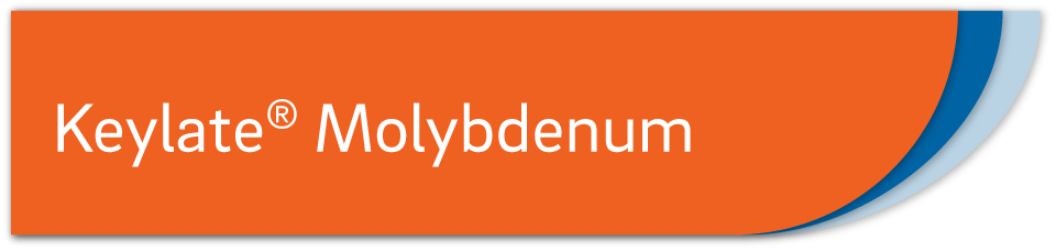 keylate-molybdenum