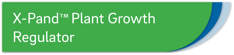x-pand-plant-growth-regulator